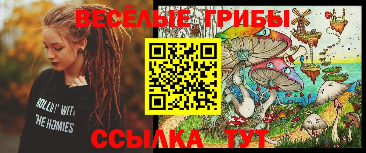 Псилоцибиновые грибы Psilocybine cubensis  купить   Кисловодск  Галлюциногенные грибы Cubensis  Вход с VPN 