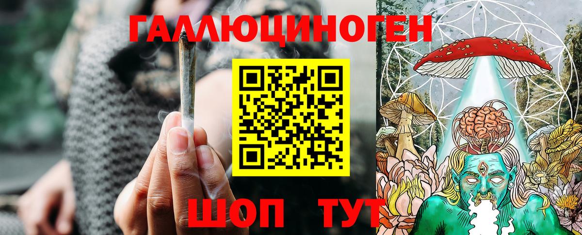 Псилоцибиновые грибы мицелий Кисловодск